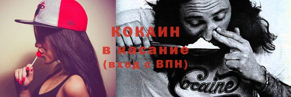 круглые Гусев