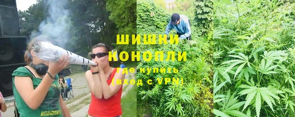 метадон Гусь-Хрустальный