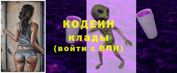 круглые Гусев
