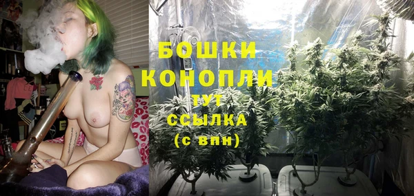 трава Гусиноозёрск