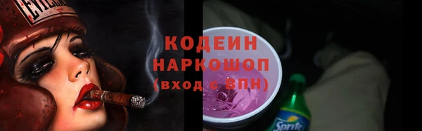 трава Гусиноозёрск