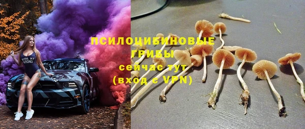 круглые Гусев
