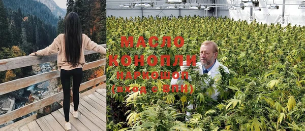 трава Гусиноозёрск