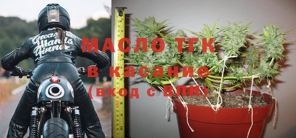 трава Гусиноозёрск