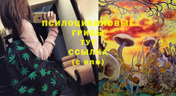 трава Гусиноозёрск