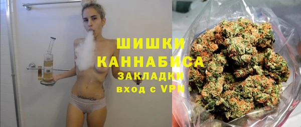 круглые Гусев