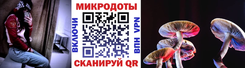 Галлюциногенные грибы прущие грибы Купить закладки Куровское